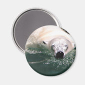 Cooler Bär Magnet (Vorderseite/Rückseite)