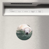 Cooler Bär Magnet (In Situ (Geschirrspüler))