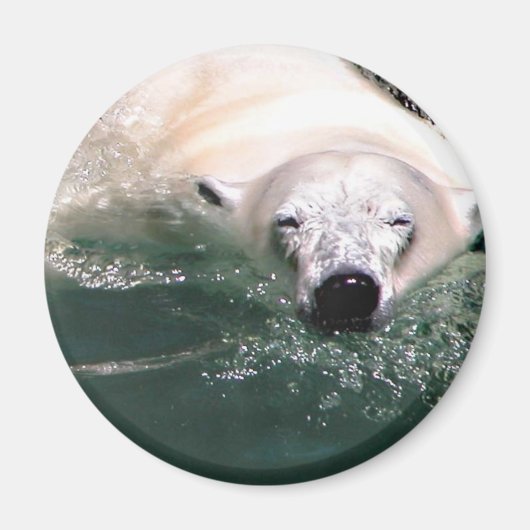 Cooler Bär Magnet (Vorne)
