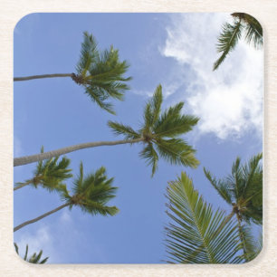 Cooler blauer Himmel und Palmen Rechteckiger Pappuntersetzer
