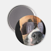 Cooler Boxer in Sonnenbrillenmagnet Magnet (Vorderseite/Rückseite)