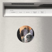 Cooler Boxer in Sonnenbrillenmagnet Magnet (In Situ (Geschirrspüler))