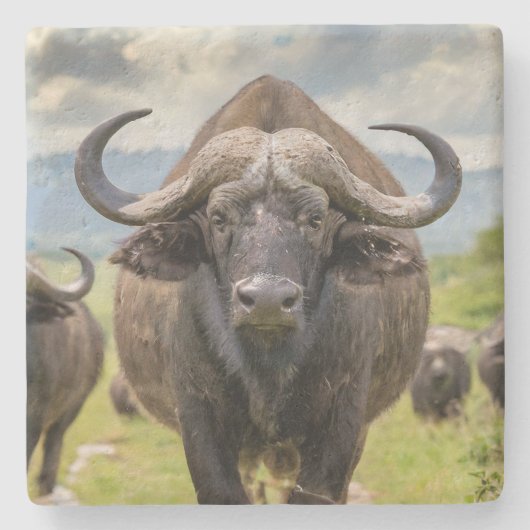 Cooler Buffalo Stein Untersetzer! Steinuntersetzer (Vorderseite)