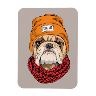 Cooler Bulldog Magnet