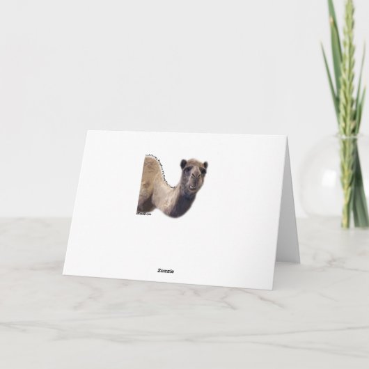 Cooler Camel Hump Weihnachten (Rückseite)