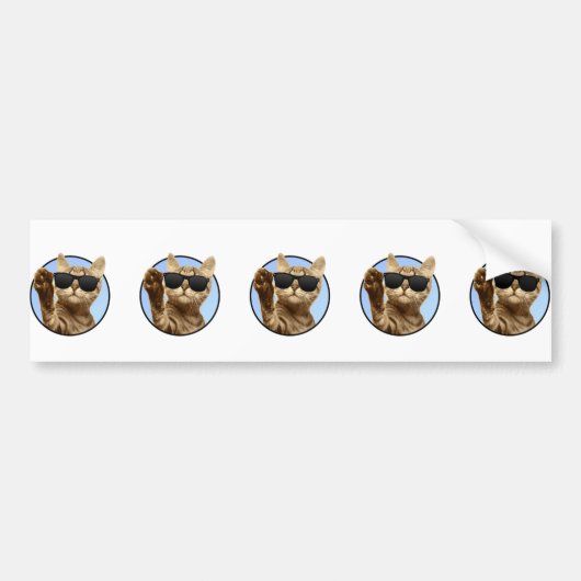 Cooler Cat Autoaufkleber (Vorne)