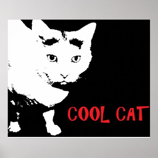 COOLER CAT-POSTER POSTER (Vorne)