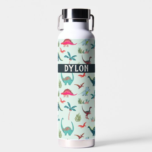 Cooler Dinosaurier individuelle Name blau Trinkflasche (Vorne)
