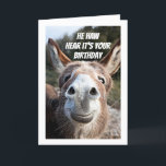 **COOLER DONKEY SAGT "HAPPY BIRTHDAY" BROTHER KARTE<br><div class="desc">DIESER DONKEY IST SO BEREIT,  IHNEN "GLÜCKLICHEN GEBURTSTAG" ZU SAGEN,  DASS SIE DAS GANZE JAHR SO BESONDERS IN IHREM HERZEN HABEN!  VIELEN DANK,  DASS SIE VON EINER MEINER ACHT GESCHICHTEN GESCHAFFEN HABEN!</div>