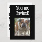 Cooler englischer Bulldoggen-Einladungs-Geburtstag Einladung (Vorne/Hinten)