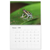 Cooler Frosch-Kalender Kalender (Feb 2026)
