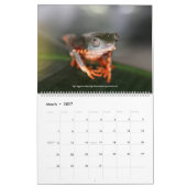 Cooler Frosch-Kalender Kalender (Mär 2027)