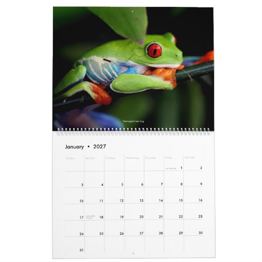 Cooler Frosch-Kalender Kalender (Jan 2027)