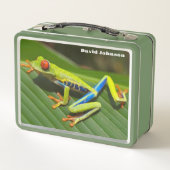 Cooler Frosch Metall Brotdose (Rückseite)