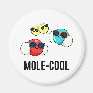 Cooler Funny Molecule Pun Magnet