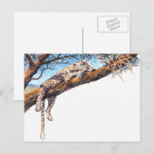Cooler Gepard Postkarte (Vorne/Hinten)