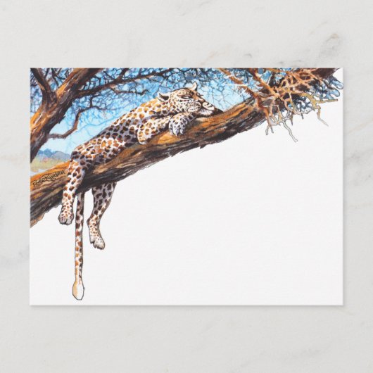 Cooler Gepard Postkarte (Vorderseite)