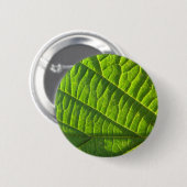 Cooler grüner Blattdruck Button (Vorne & Hinten)