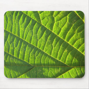 Cooler grüner Blattdruck Mousepad