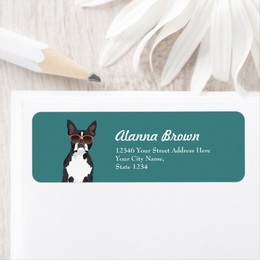 Cooler Hipster Black and White Boston Terrier (Insitu)