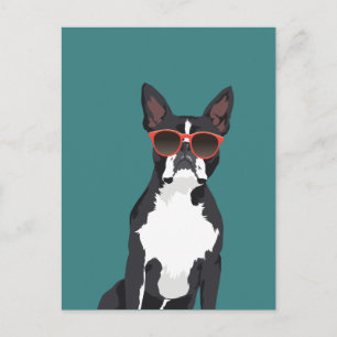Cooler Hipster Black and White Boston Terrier Postkarte