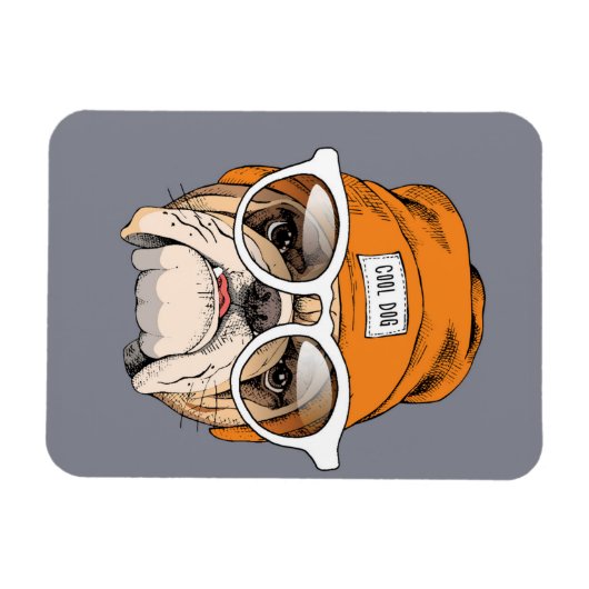 Cooler Hipster Bulldog Magnet (Horizontal)
