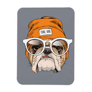 Cooler Hipster Bulldog Magnet