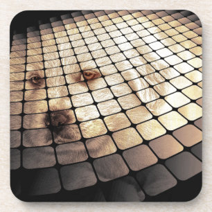 Cooler Hund Digitale Kunst Getränkeuntersetzer