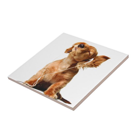 Cooler Hund Fliese (Seite)