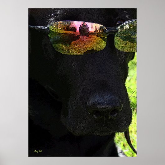 Cooler Hund Poster (Vorne)