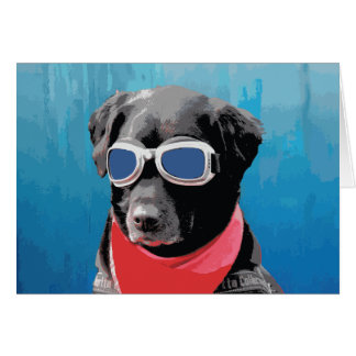 Cooler Hund Schwarzes Labor Red Bandana Blue Goggl