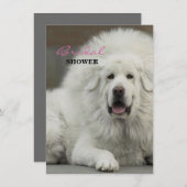 Cooler Hundeliebhabertibetanischer Mastiff Einladung (Vorne/Hinten)