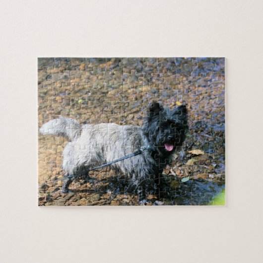 Cooler Kairn Puzzle (Horizontal)