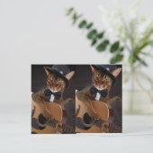 Cooler Kategitarrist  Postkarte (Stehend Vorderseite)