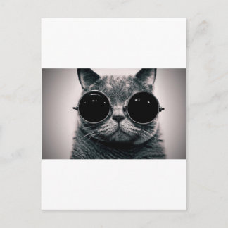 cooler Katzenkool mit Schattierungen Postkarte