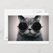 cooler Katzenkool mit Schattierungen Postkarte (Vorne/Hinten)