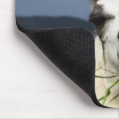 Cooler Lama Mousepad (Ecke)