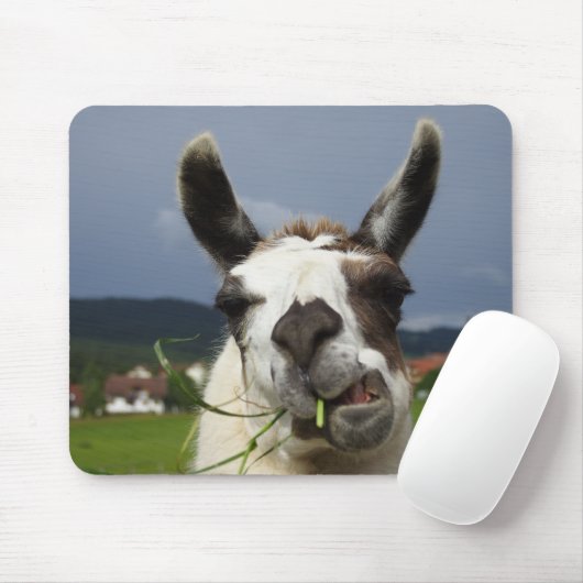 Cooler Lama Mousepad (Mit Mouse)