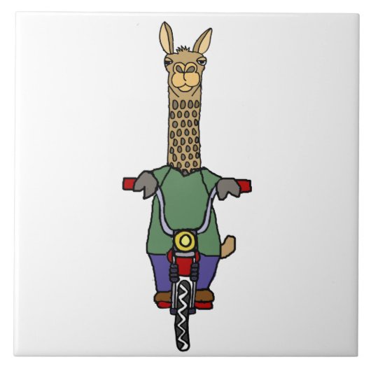 Cooler Lama-Reitfahrrad-Cartoon Fliese (Vorderseite)