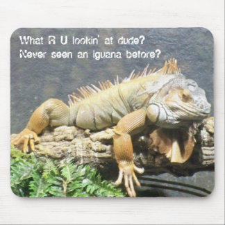 Cooler Leguan Mousepad