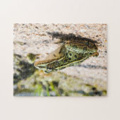 Cooler Leopard Frosch Puzzle (Horizontal)