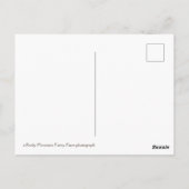 cooler Lilakensaft Postkarte (Rückseite)