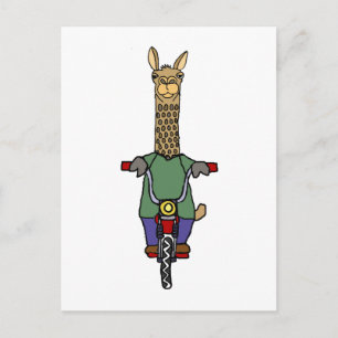 Cooler Llama Riding Bicycle Cartoon Postkarte