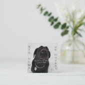 Cooler neuer Standort! Postkarte (Stehend Vorderseite)