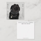 Cooler neuer Standort! Postkarte (Vorne/Hinten)