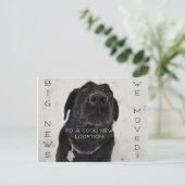 Cooler neuer Standort! Postkarte (Stehend Vorderseite)