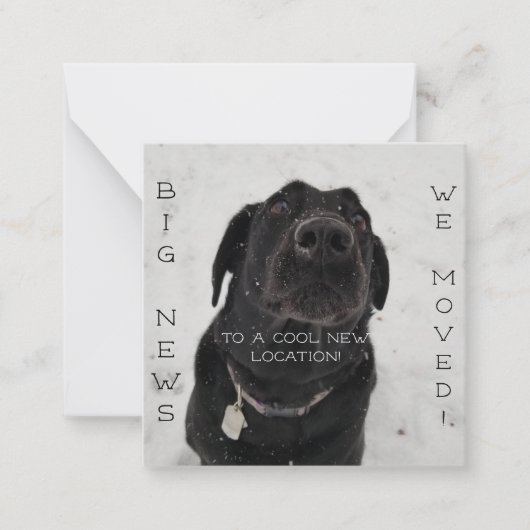 Cooler neuer Standort! Postkarte (Vorderseite)