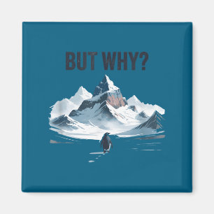 Cooler Pinguin aber warum  Magnet