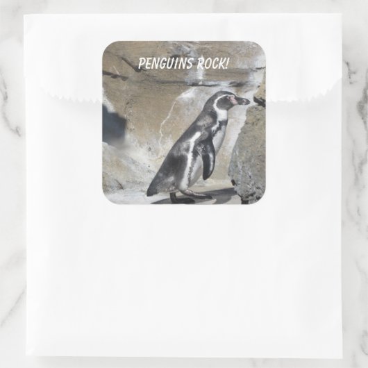 Cooler Pinguin Quadratischer Aufkleber (Tasche)