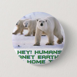 cooler Polar-Bär Button
